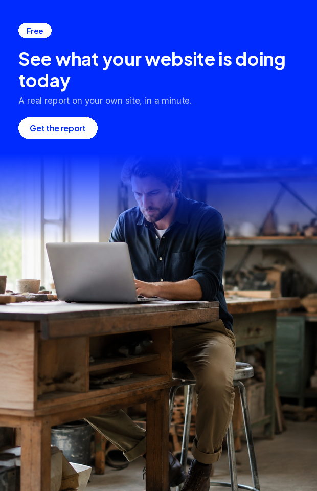 See what your website is doing today